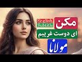 مکن ای دوست غریبم شور و شیدایی در غزل ۱۶۱۱ مولانا      