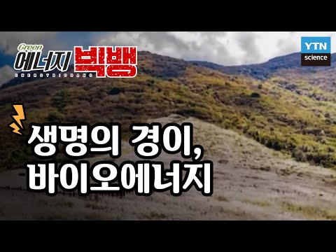 [그린에너지빅뱅] 생명의 경이, 바이오에너지 / YTN 사이언스