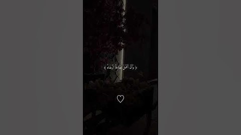 "فتبسم ضاحكاً من قولها" سورة النمل🌿🌸☁️|| القارئ بلال دربالي