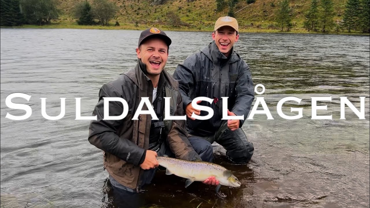 Salmon fishing in Suldalslågen september 2025