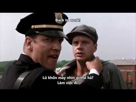[Vietsub - Engsub] The Shawshank Redemption (1994): Tarring the License Plate Factory - BEST SCENE