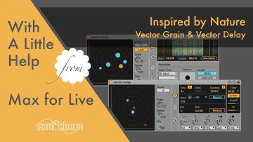 Inspired by Nature: Vector Grain & Vector Delay - With a Little Help from Max for Live (EN)
