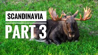 Scandinavia - part 3