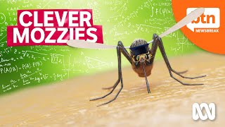 How Mosquitoes are Outsmarting Pesticide screenshot 4