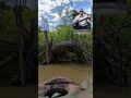 Unique Tarp Shelter #tarpshelter #kayakcamping #yamahakeyboards