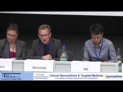 Panel - The Regulation Environment in Nanomedicine -- The Step to the Last Phase of Translation