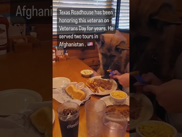 Veteran dog who served two tours in Afghanistan gets special meal