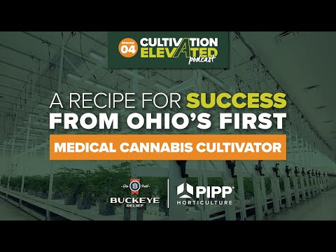 Vídeo: Califórnia Buckeye Fatos - Aprenda sobre o cultivo de Buckeyes da Califórnia