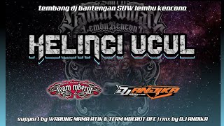 Download lagu Kelinci ucul, Tembang dj bantengan 'SDW' LEMBU KENCONO, rmx by DJ ANDIKA