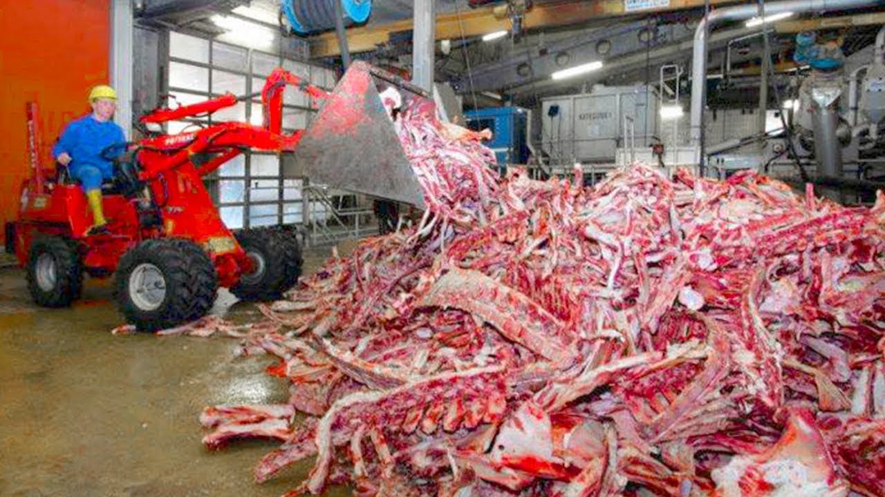 Vous ne mangerez plus ces Aliments quand vous verrez comment ils sont faits !