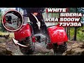 WHITE SIBERIA iKRA 5000W 73V30A (LiFePO4) Первый электроскутер Citycoco на независимой подвеске!