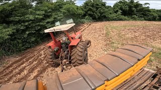 Plantamos milho pra silagem de novo (roçavlog)