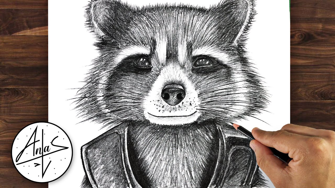 Buy Rocket Raccoon Pencil Portrait Drawing Print Online in India  Etsy