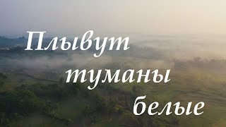 ПЛЫВУТ ТУМАНЫ БЕЛЫЕ - Евгений Войнов