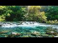 Soft River Flow ASMR 🌊 Pure Water Sounds – No Rain No Music for Sleep & Relaxation