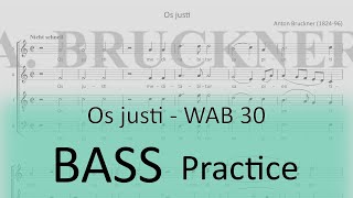Bruckner WAB 30 (Os justi) - Bass 1 practice