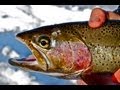 Mid-Winter Rainbow Trout - Ice Season Finale -- "In-Depth Outdoors" TV Season 7, Episode 12