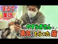 まるで童話!生きる希望を与える猫の感動物語【ねこ自慢】