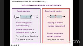 BSS2022, S. Fielding, Complex Fluids (Theory) III, July 27
