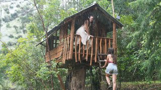 Our Tiny Home Treehouse Escape