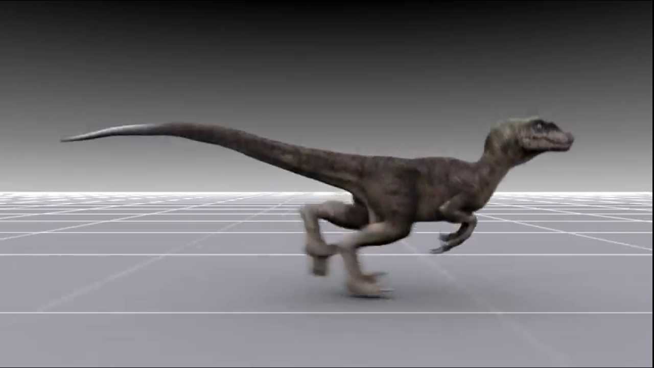 Dinosaur run cycle on Vimeo