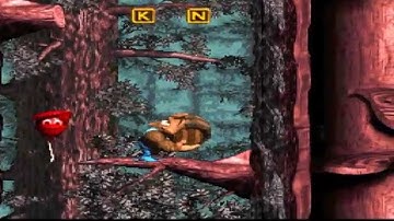 Donkey Kong Country 3 Dixie Kong