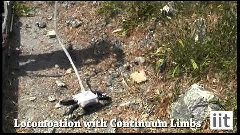 Continuum Limbs for Terrestrial Locomotion