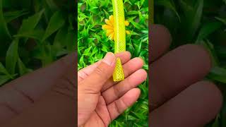 Garden Hose Hack: Bina Connector Ke Pipe Kaise Jodein! 🪵⚡Diy Water Hose Joint: Purane Pipe Ko Reuse