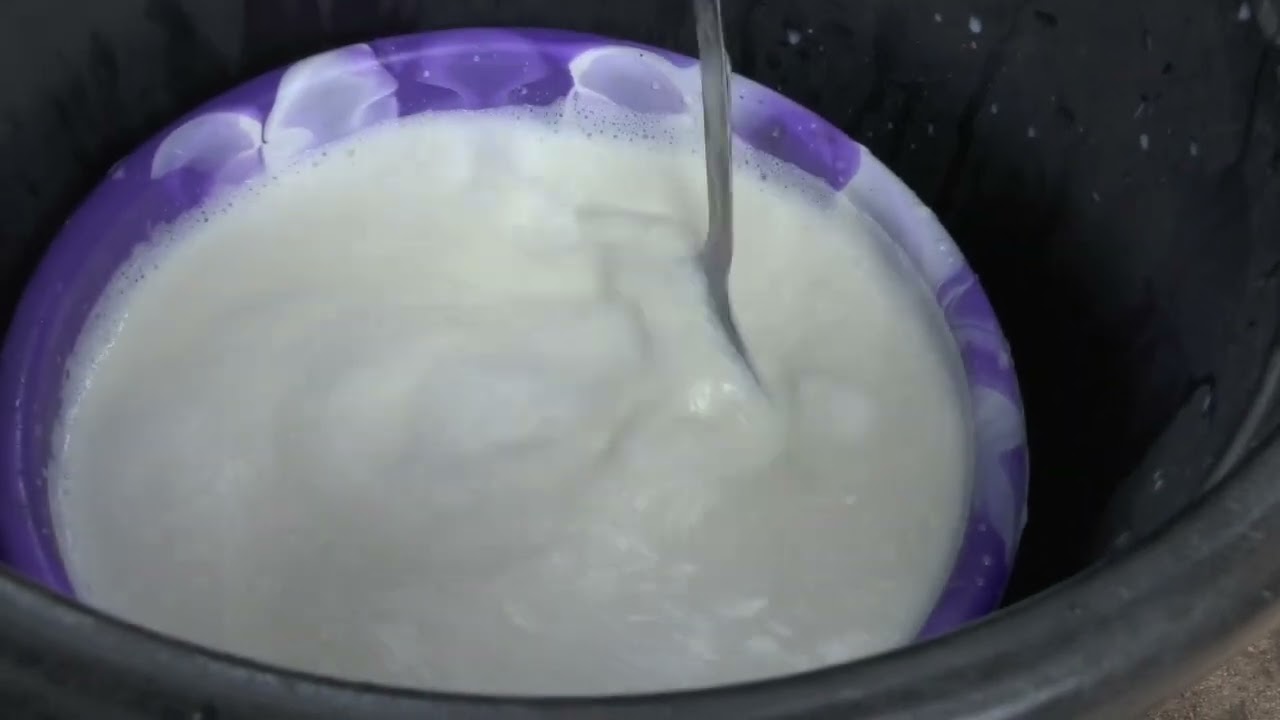 Du yaourt à base du lait de vache : du naturel à partir de produits simples pour le bonheur des sens