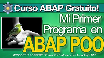 ABAP Curso Gratuito - Tutorial Mi Primer Programa ABAP Orientado a Objetos | CVOSOFT.com