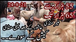 Malir Mandi Latest 24 August 2021 Update Rates And Bargaining || Jokia Mandi