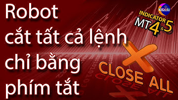 🔰 EA close all - cắt tất cả các lệnh chỉ bằng 1 phím tắt.