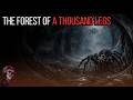 The Forest of a Thousand Legs | THE STORY THAT INSPIRED ME TO DO THIS