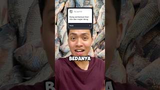 Perbedaan Fisik Ikan Nila dan Mujair #ikannila #ikanmujair