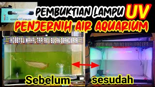 DETIK DETIK AQUARIUM 2 METER MELEDAK DI DALAM RUMAH - MUSIBAH TERBESAR SELAMA PELIHAR IKAN PREDATOR