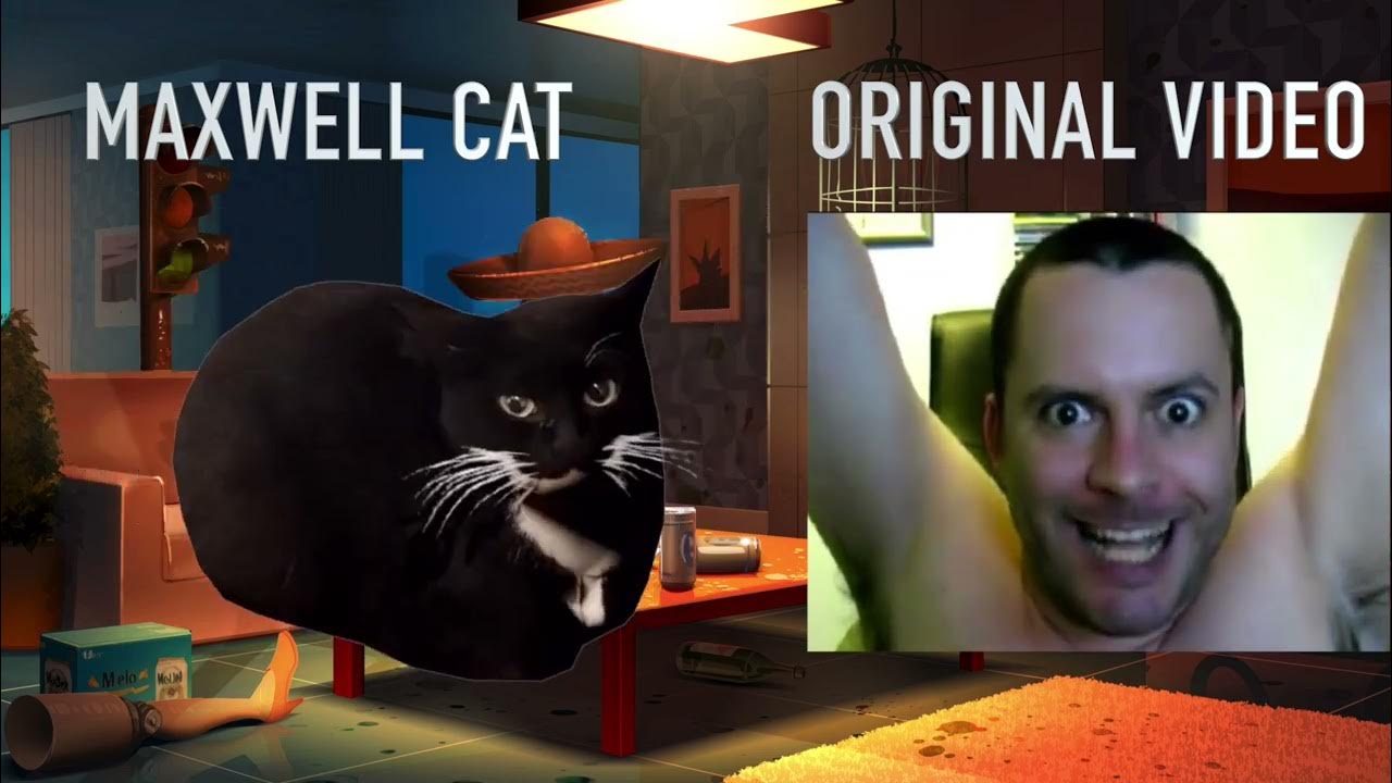 Maxwell cat original. Maxwell cat мем. максвелл кэт мем. максвелл кот мем. максвелл мем.