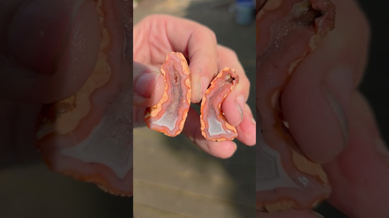 2 random reveals for the price of 1!  09/05/2025