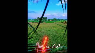 just feel nature,#thanioruvan-Manasula Poongatru Kannala Kannala #nature#song#tamil#whatsappstatus