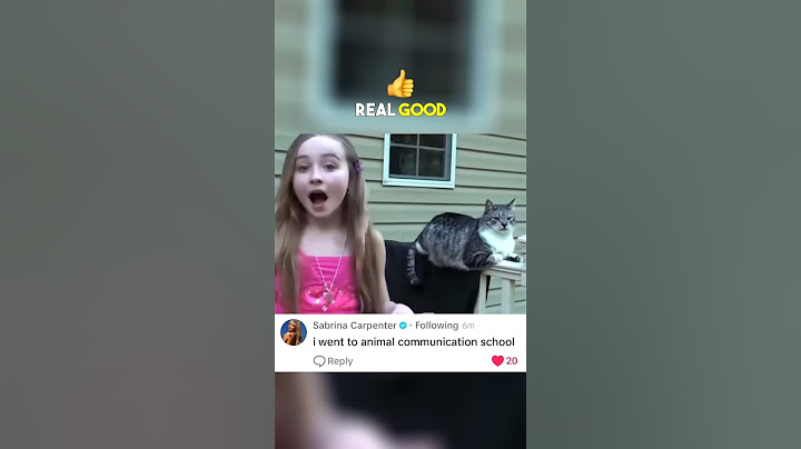 Sabrina Carpenter just joked about one of her own old videos 🐈😹😂