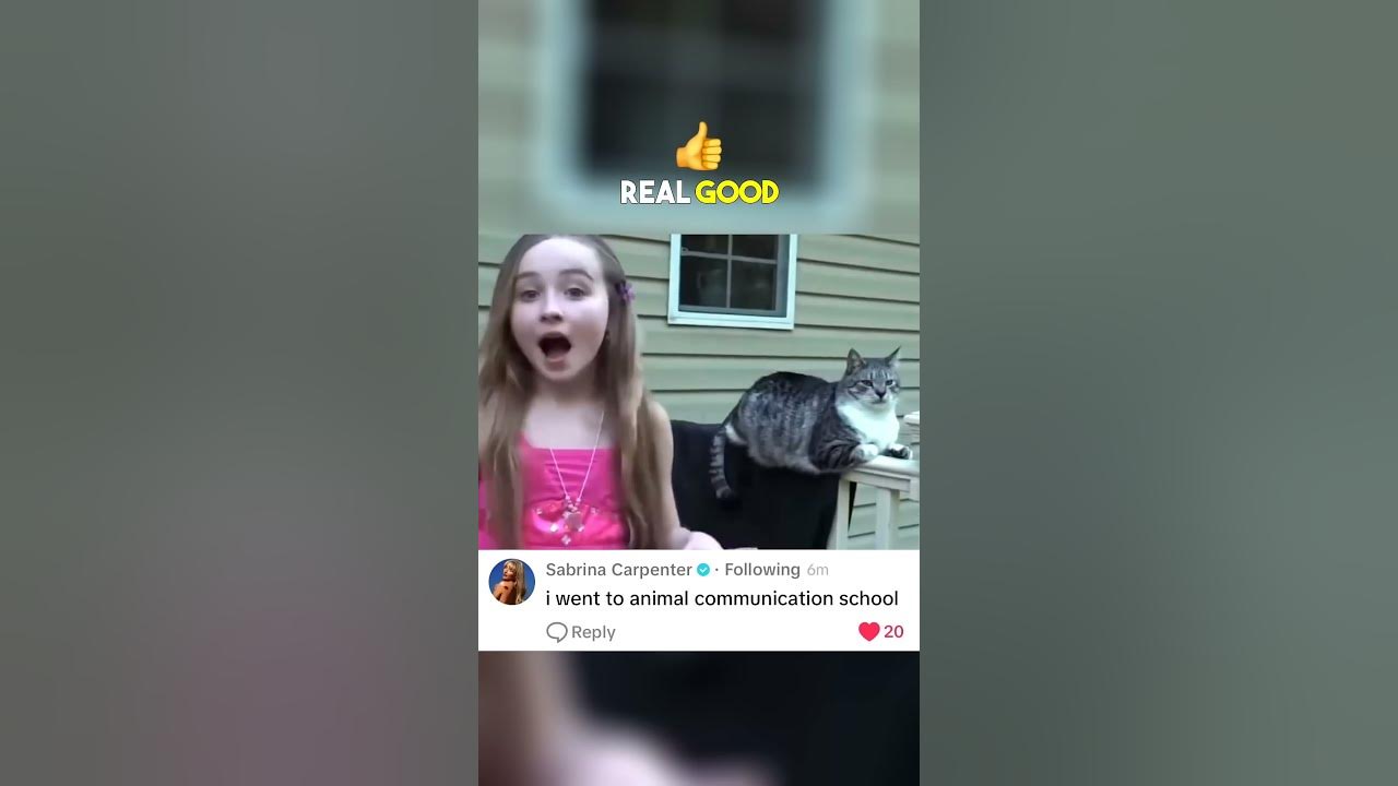 Sabrina Carpenter just joked about one of her own old videos 🐈😹😂