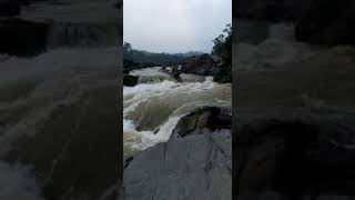 pertes caudalosos del rio coco nicaragua ??
