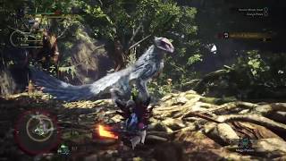 Monster hunter world - optional quest lvl 6 - stuck in their ways - walkthrough