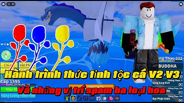 [ BLOX FRUITS ] CÁCH THỨC TỈNH TỘC CÁ V2 V3 VÀ NHỮNG VỊ TRÍ SPAM 3 LOẠI HOA TRONG BLOX FRUITS !!