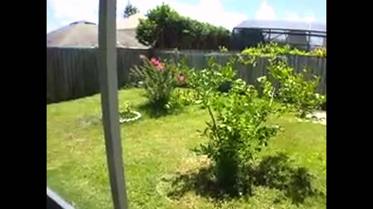 house to rent in orlando florida