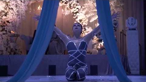 Dynamic Aerial & Acrobatics - Aerial Silks