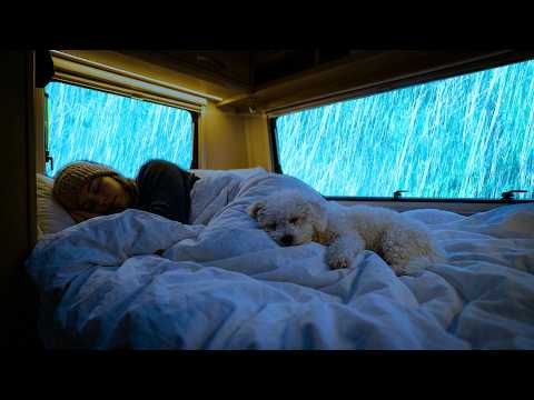 Unwind Tonight with Heavy Rain and Gentle Thunder in a Cozy Car