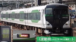 【修学旅行臨】E257系5500番台 OM-52編成（波動用） 大宮4番線入線　2023年6月18日