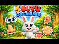 5 Duyu Organımızı Öğreniyoruz 👀👂👃👅✋ | Bilgin Zıpzıp Eğitici Çocuk Videosu