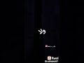 جامي لافي