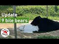 Biggest bile bear rescue in vietnam 9 bile bears in their new speciesappropriate home